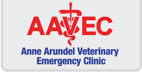 anne arundel vet